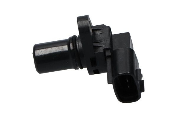 Suzuki Nokkenassensor