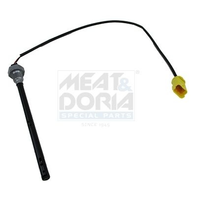 Citroen Sensor, motoroliepeil