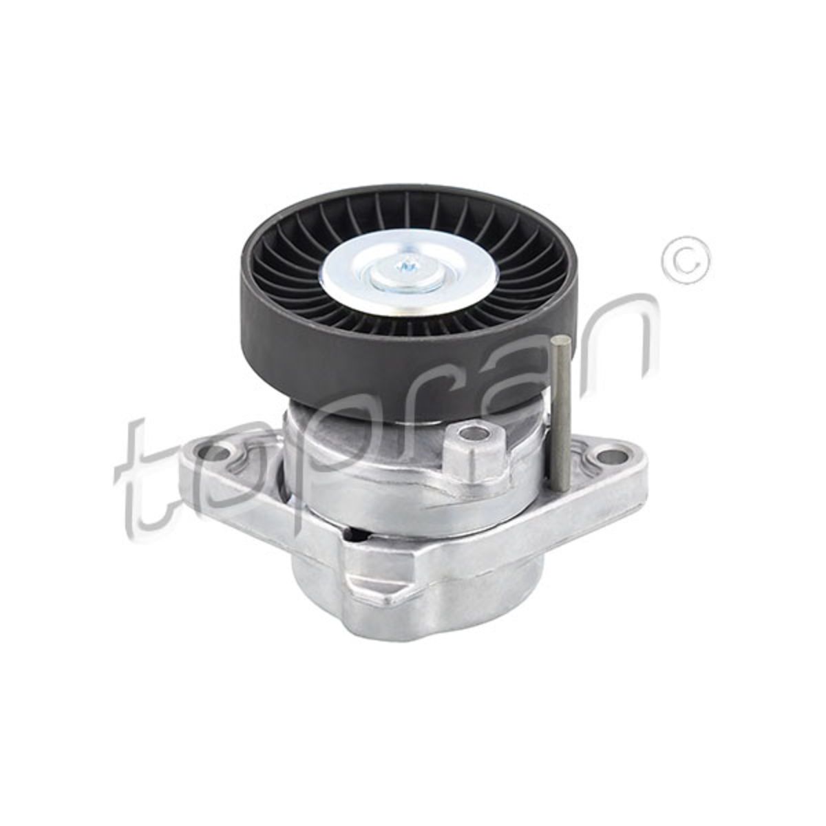 Hans Pries Riemspanner, Poly V-riem  401 404