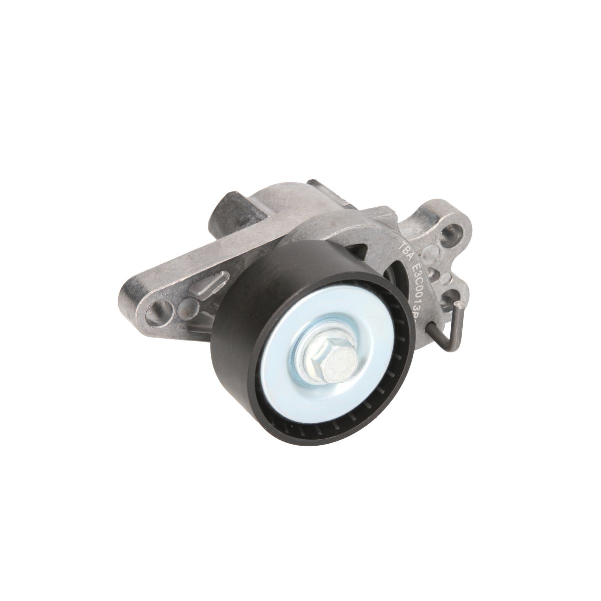 Bta Spanpoelie, V-riem  E3C0013