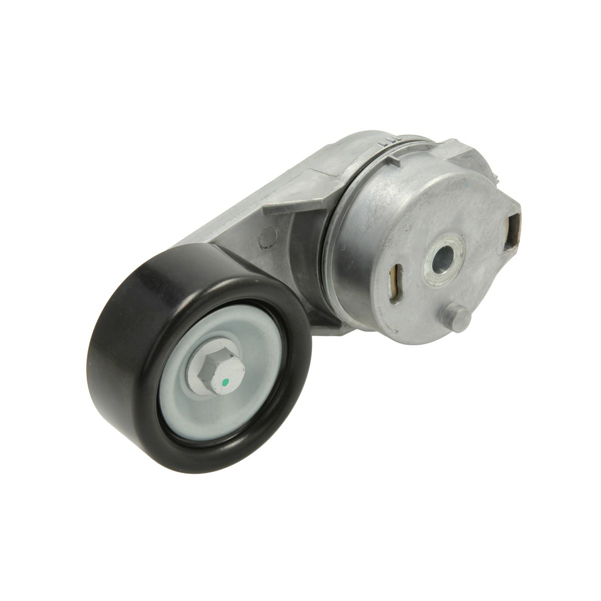 Bta Spanpoelie, V-riem  E3W0013