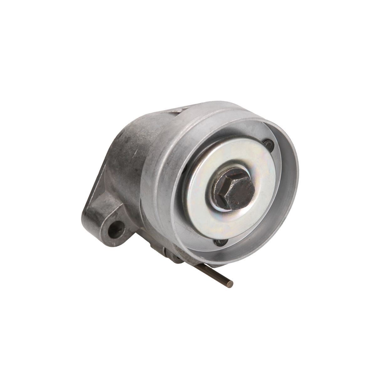 Bta Spanpoelie, V-riem  E3X0006