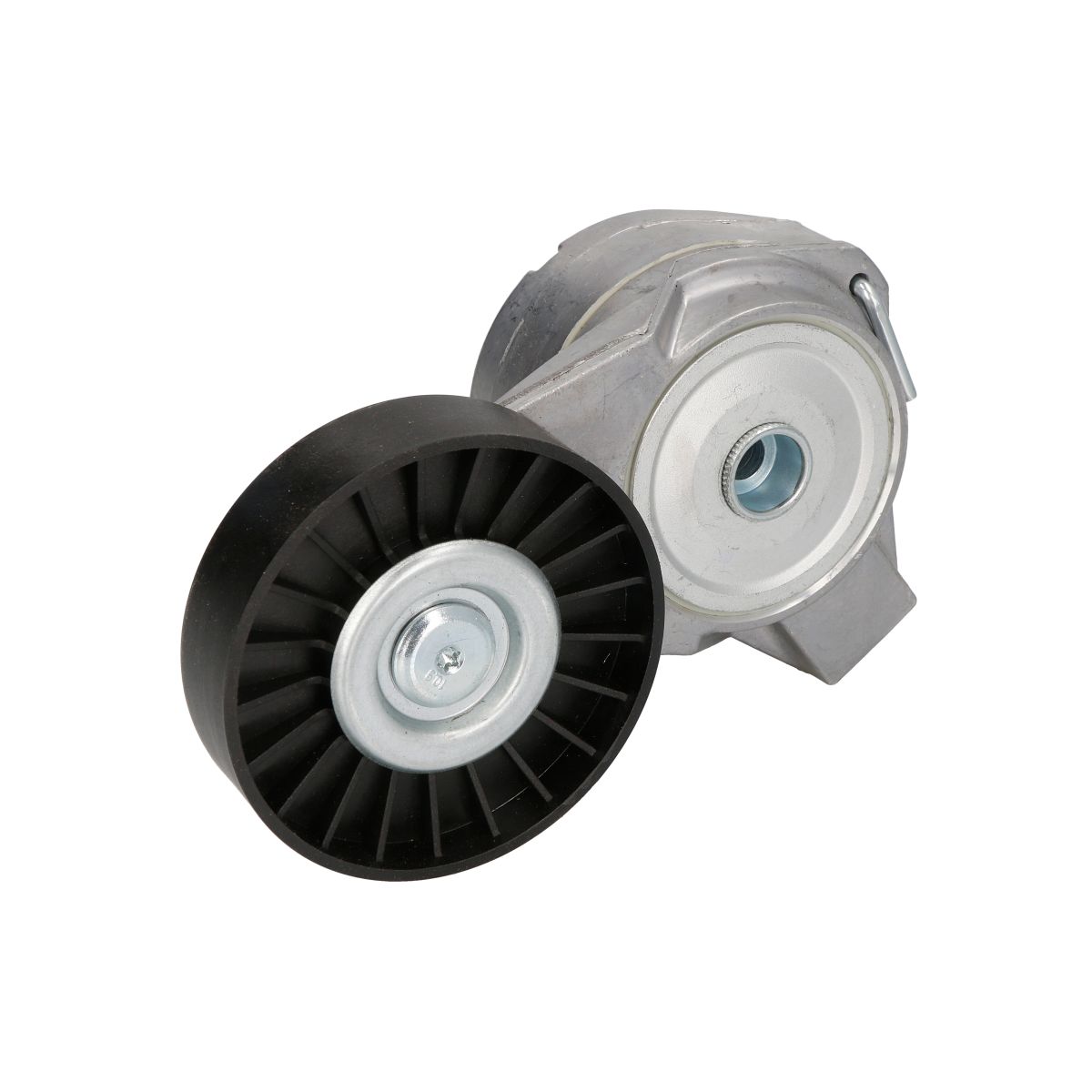 Bta Spanpoelie, V-riem  E3X0008