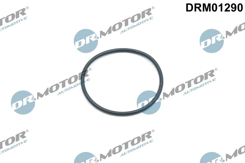 Land Rover Dichtring, distributiekettingspanner