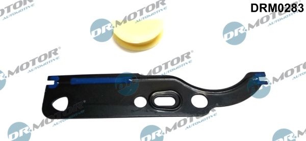Audi Pakking, distributiekettingspanner