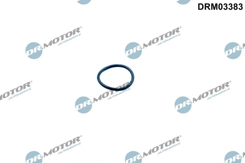 Audi Dichtring, distributiekettingspanner