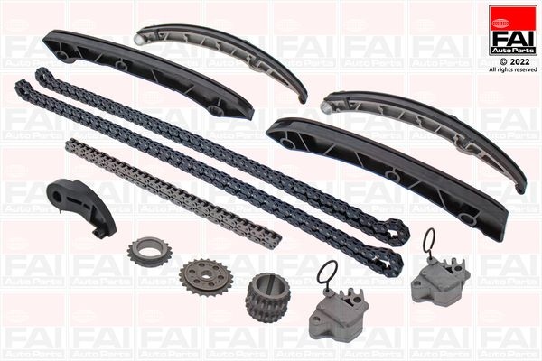 Jaguar Distributiekettingset