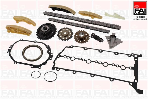 Jaguar Distributiekettingset