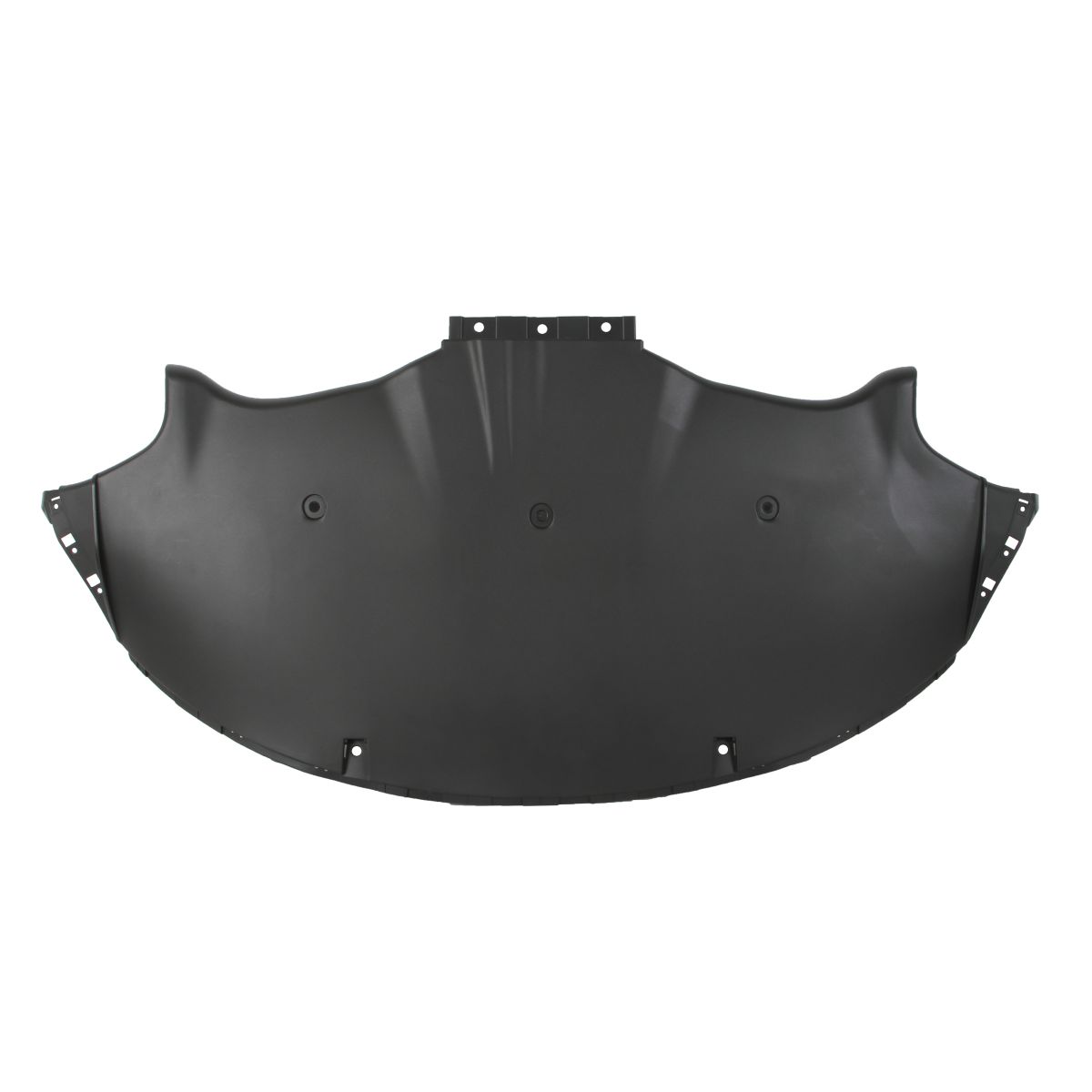 Blic Afdekking motor  6601-02-7703882P