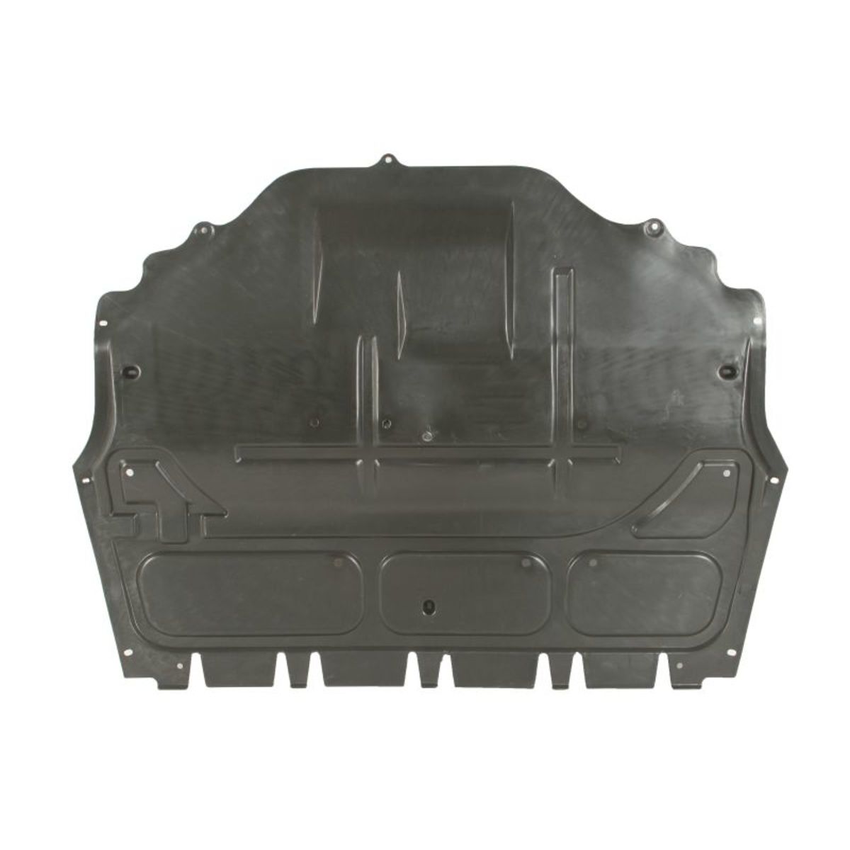 Blic Afdekking motor  6601-05-0000010P