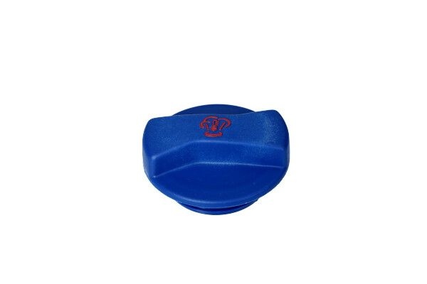 Audi Radiateurdop