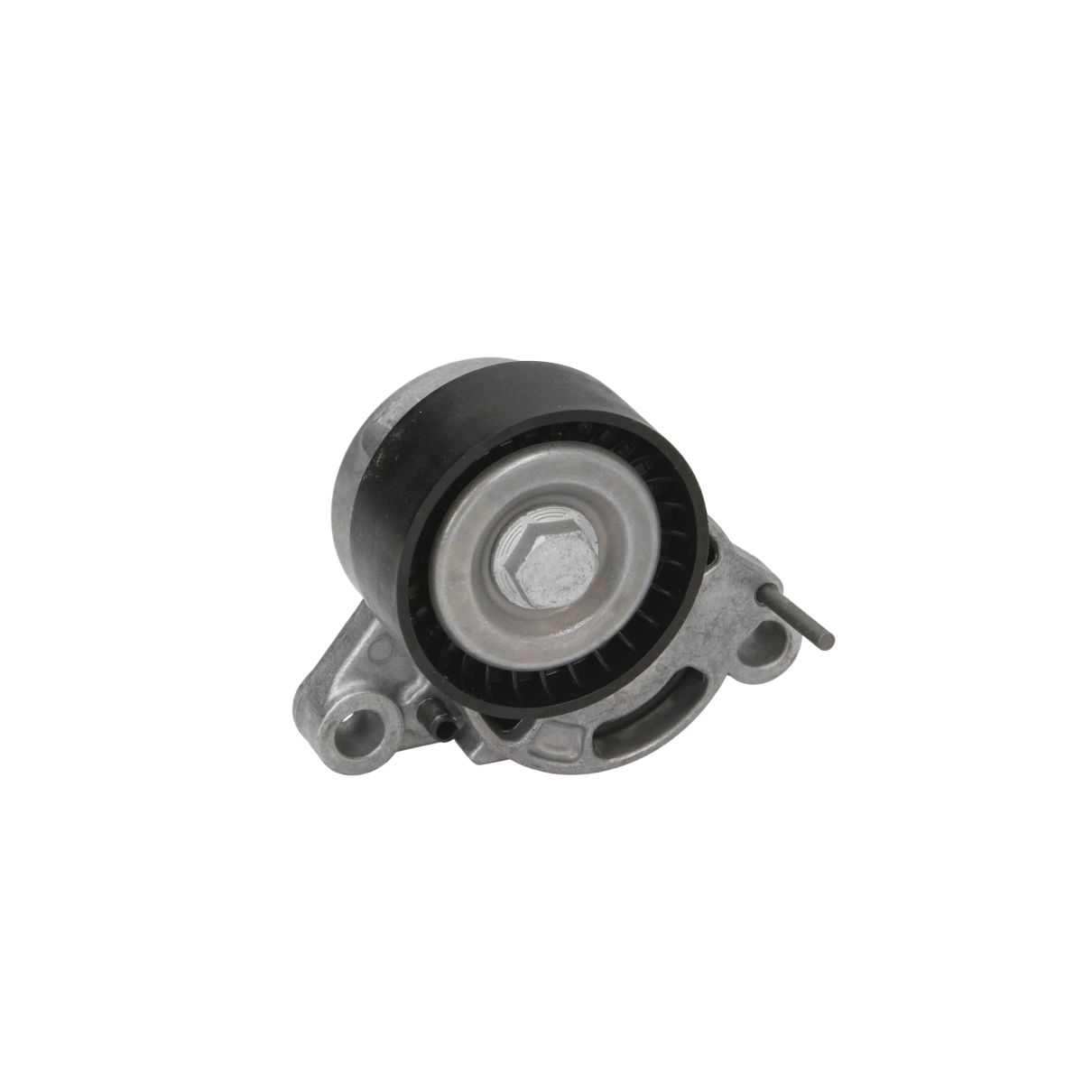 Dayco Riemspanner, Poly V-riem  APV3239