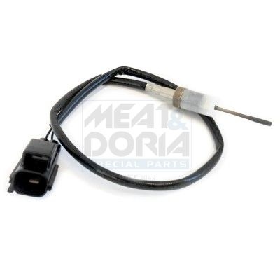 Ford Sensor, uitlaatgastemperatuur