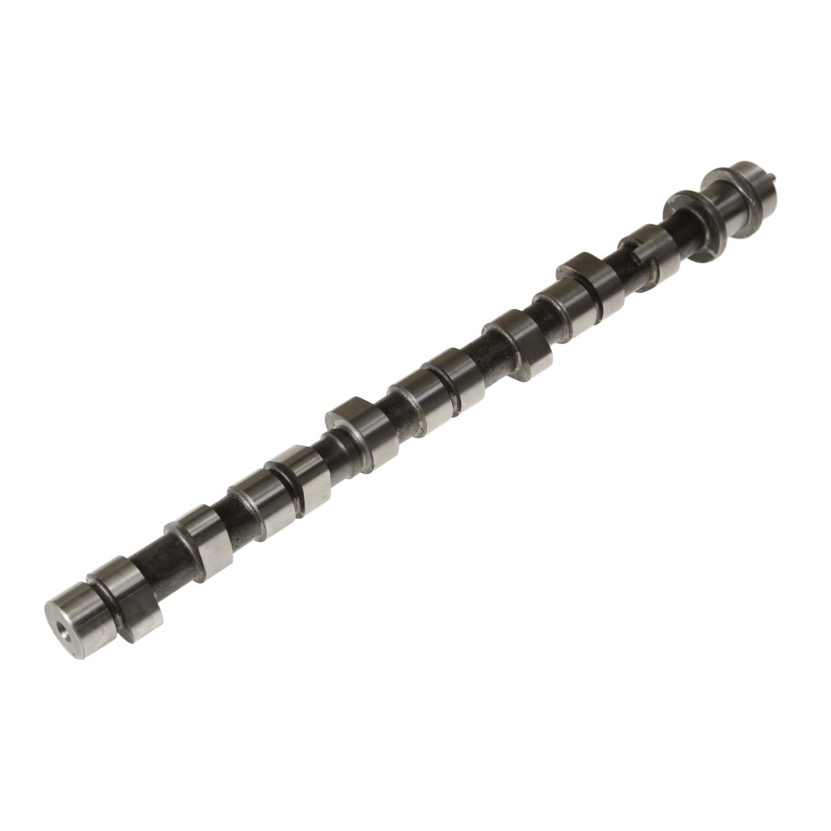 Ae Nokkenas   CAM390