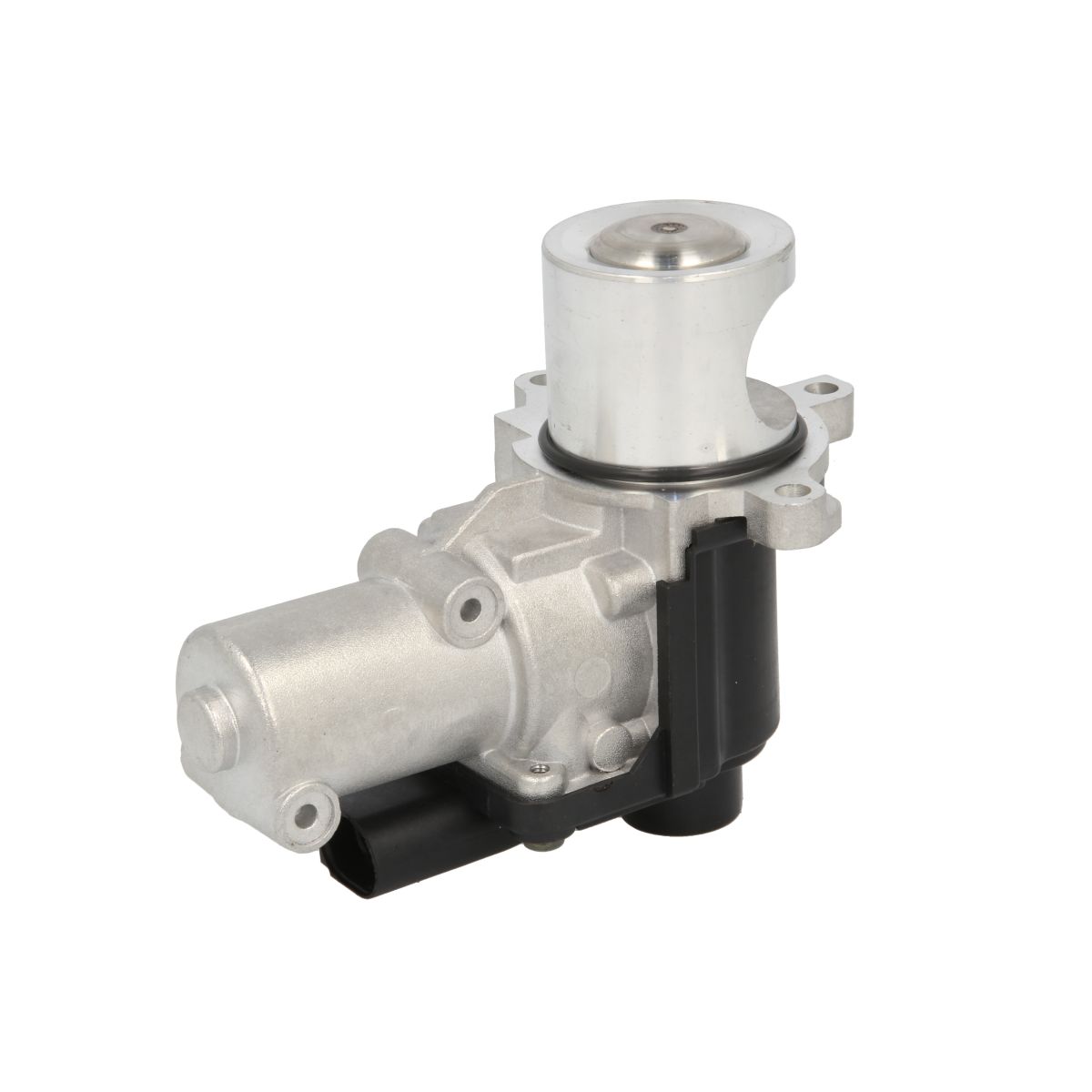 Borg Warner EGR-klep WAHLER WA710977D/1