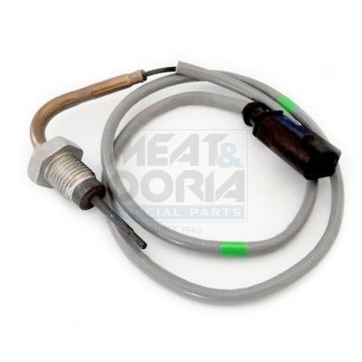 Seat Sensor, uitlaatgastemperatuur