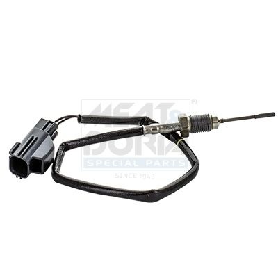 Ford Sensor, uitlaatgastemperatuur