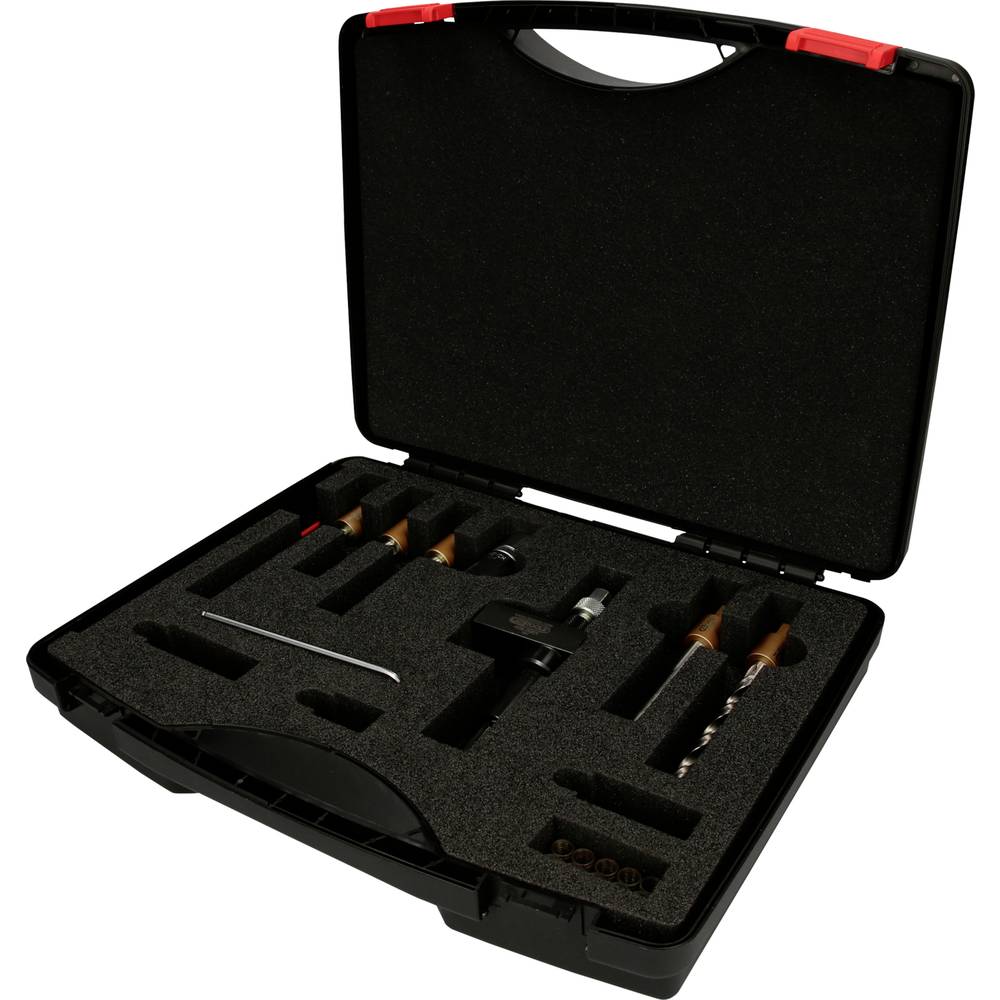 KS Tools 405.0050 Uitboorset voor injectorspanschroeven, 22-delig