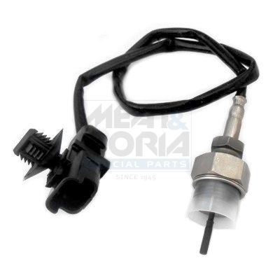 Renault Sensor, uitlaatgastemperatuur