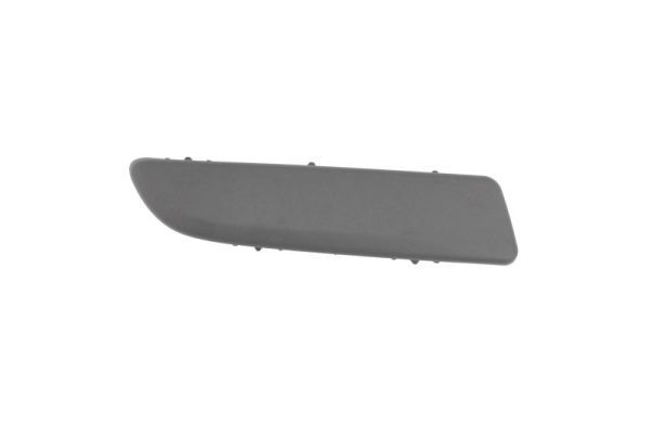 Renault Sier- / beschermingspaneel, bumper