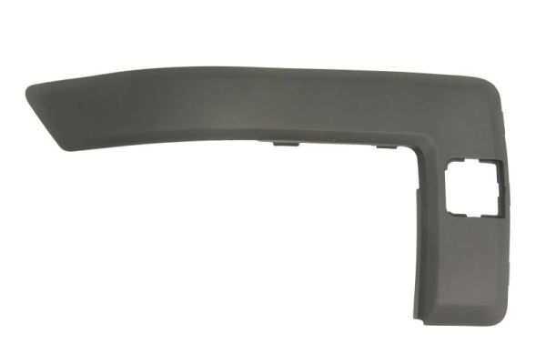 Ford Sier- / beschermingspaneel, bumper