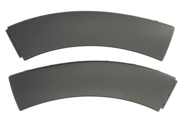 Citroen Sier- / beschermingspaneel, bumper