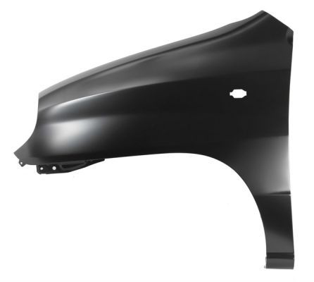 Hyundai Spatbord
