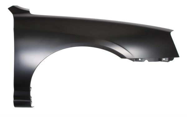 Hyundai Spatbord