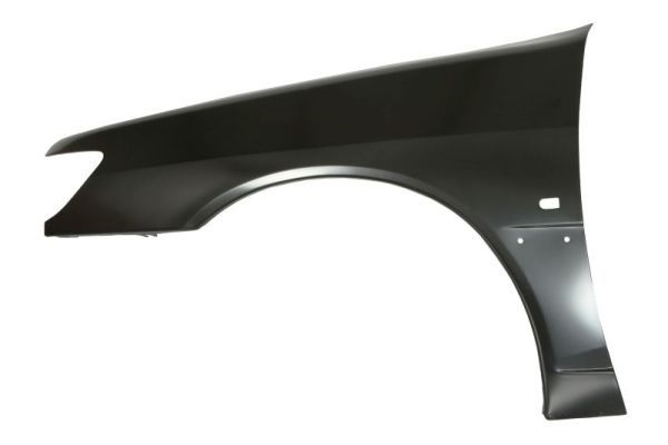 Peugeot Spatbord