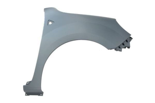 Renault Spatbord
