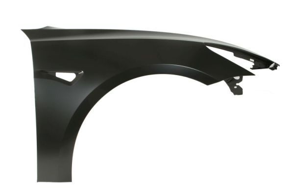 Tesla Spatbord