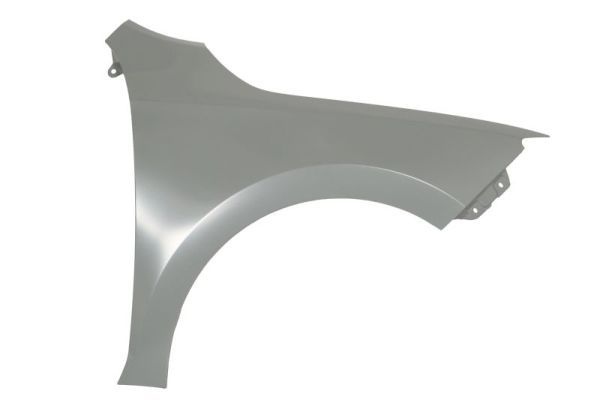 Skoda Spatbord