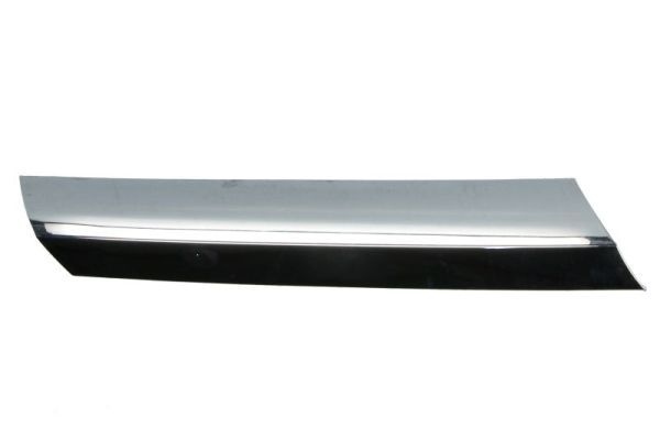 Mercedes-Benz Sier- / Beschermingspaneel, radiateurgrille