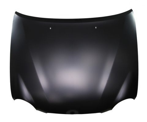 Toyota Motorkap