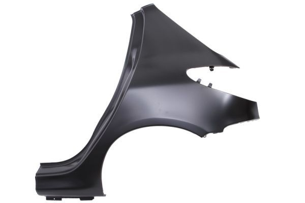 Peugeot Spatbord
