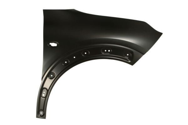 Citroen Spatbord
