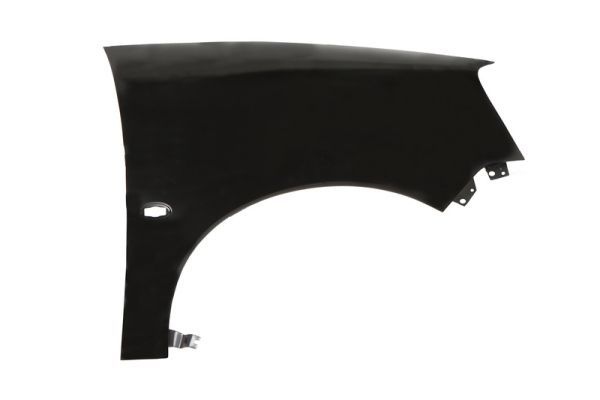 Citroen Spatbord