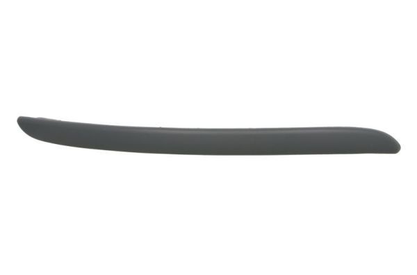 Nissan Sier- / beschermingspaneel, bumper