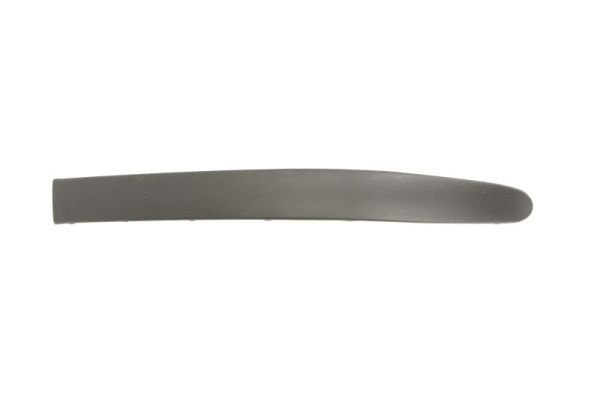 Renault Sier- / beschermingspaneel, bumper