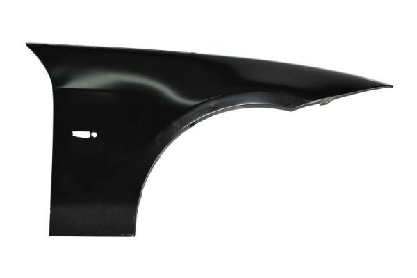 Bmw Spatbord