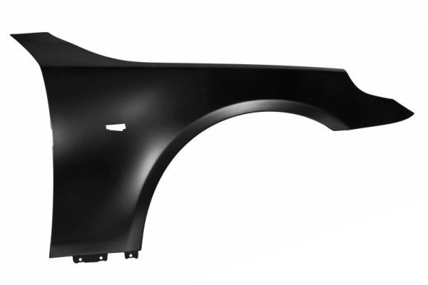 Bmw Spatbord
