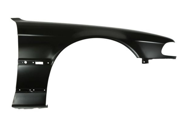 Bmw Spatbord