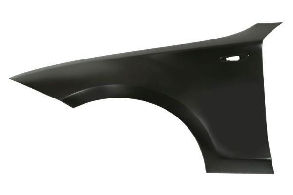 Bmw Spatbord