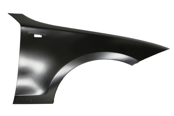 Bmw Spatbord