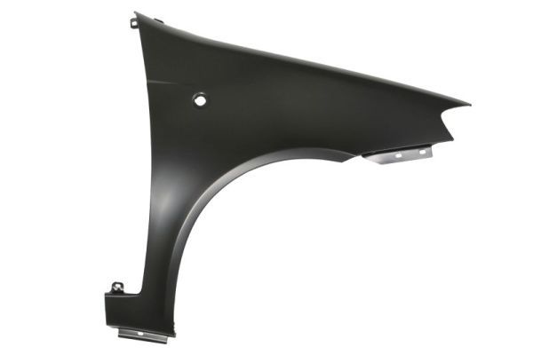 Fiat Spatbord