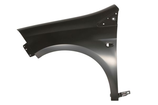 Fiat Spatbord