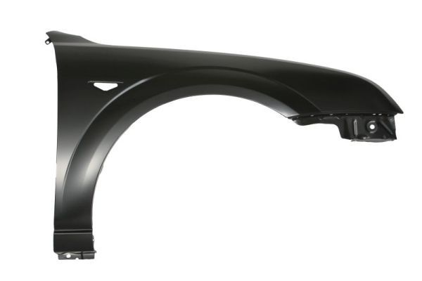 Ford Spatbord