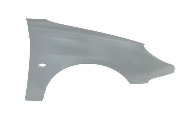 Peugeot Spatbord