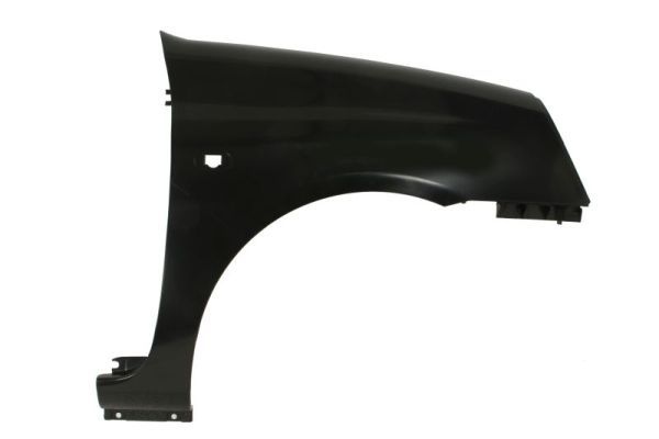 Renault Spatbord