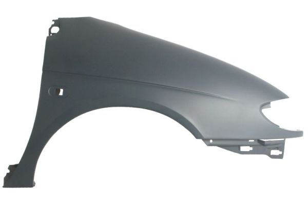 Renault Spatbord